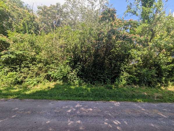 0.42 Acres of Residential Land for Sale in Etowah, Tennessee