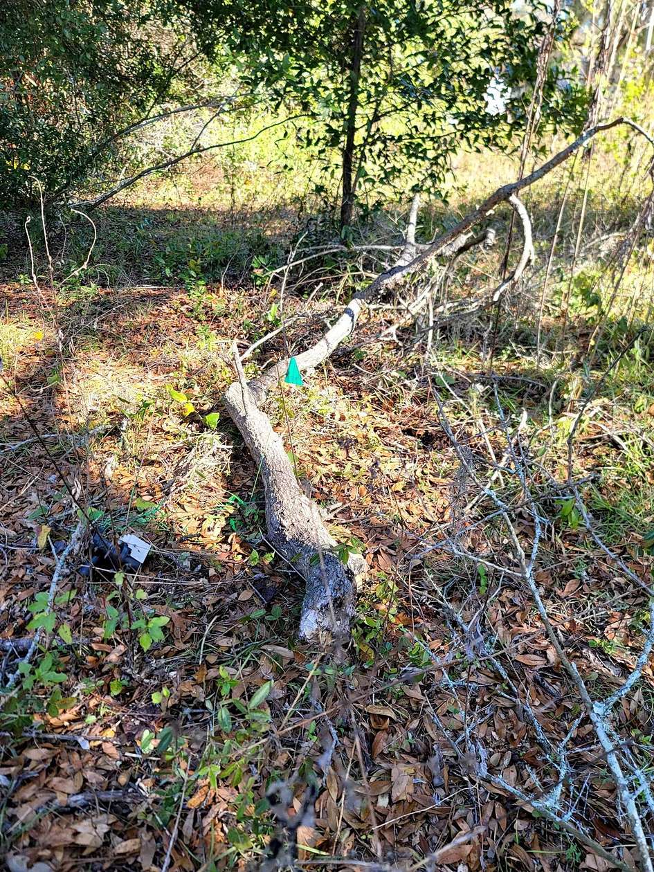 0.6 Acres of Residential Land for Sale in Tallahassee, Florida