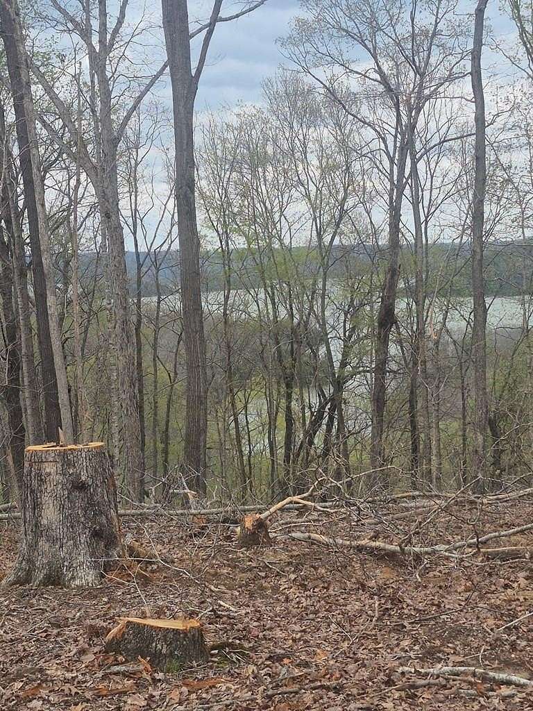 21 Acres of Land for Sale in Allons, Tennessee