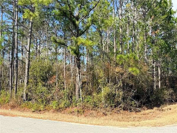 1 Acre of Residential Land for Sale in Baxley, Georgia