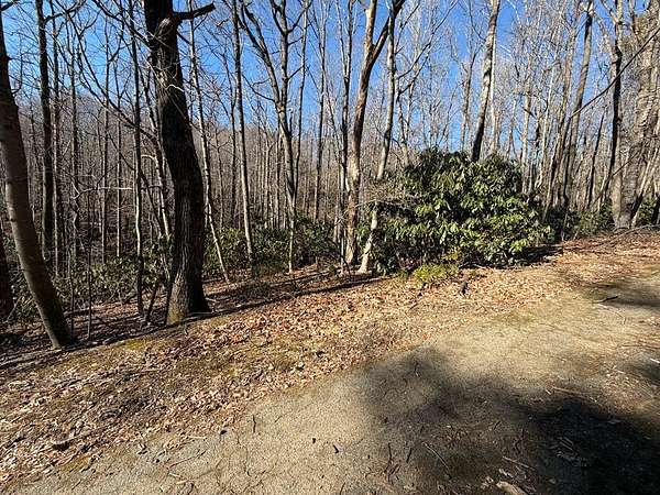 0.4 Acres of Land for Sale in Fancy Gap, Virginia