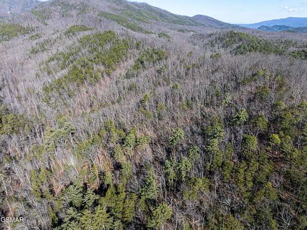 8.62 Acres of Residential Land for Sale in Sevierville, Tennessee