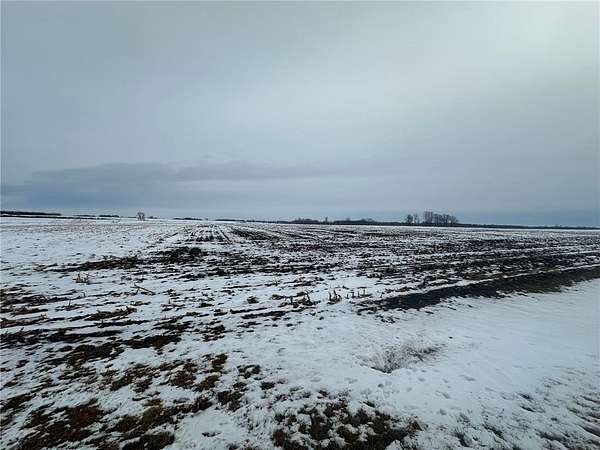 78 Acres of Agricultural Land for Sale in Long Prairie, Minnesota