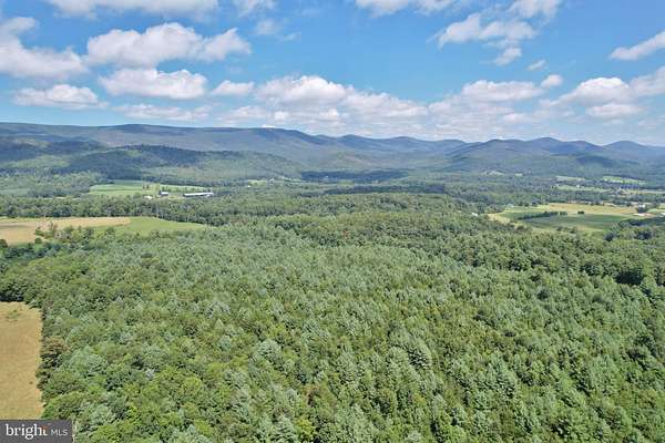 33.3 Acres of Recreational Land for Sale in Edinburg, Virginia