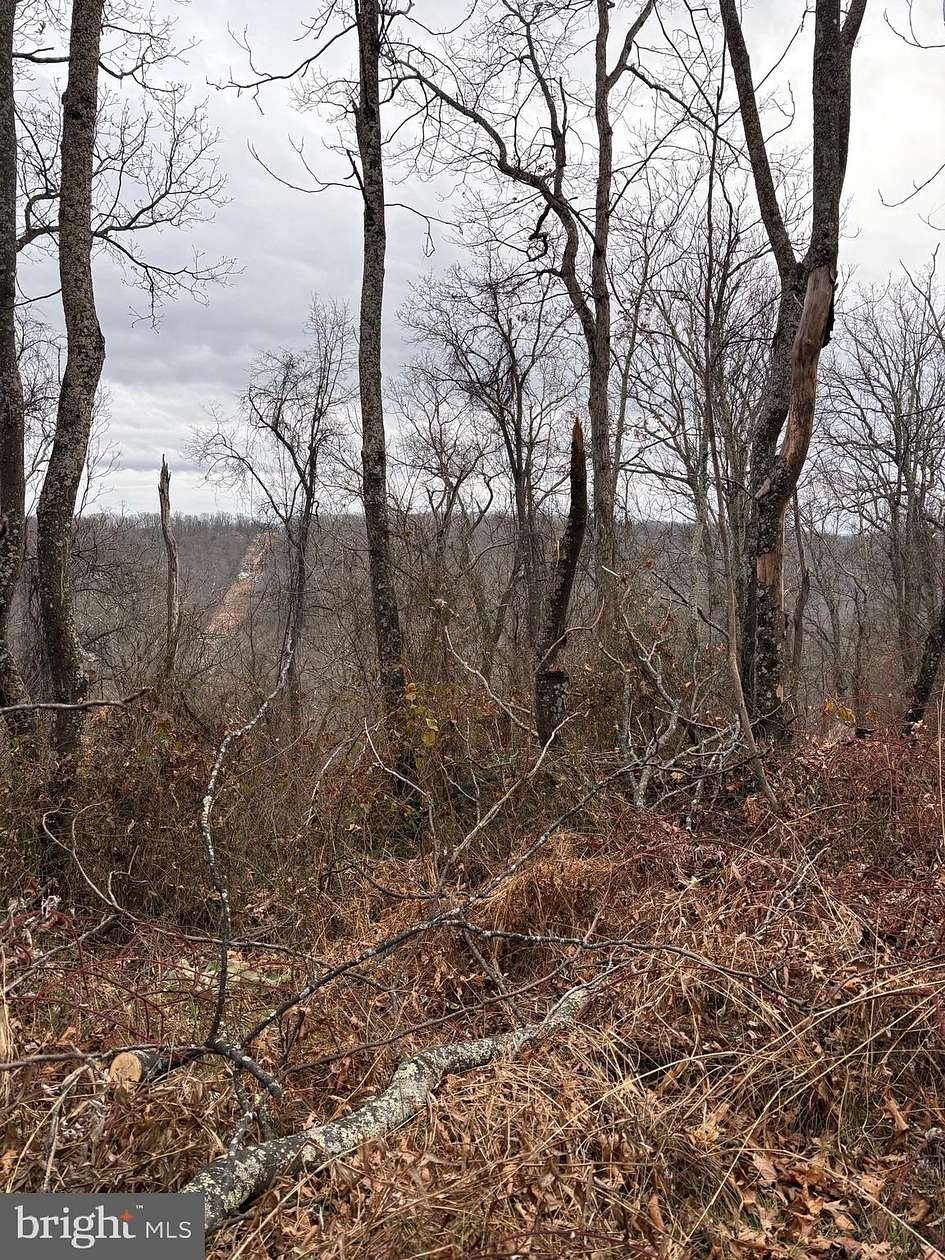 5 Acres of Residential Land for Sale in Capon Bridge, West Virginia