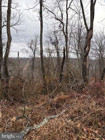 5 Acres of Residential Land for Sale in Capon Bridge, West Virginia