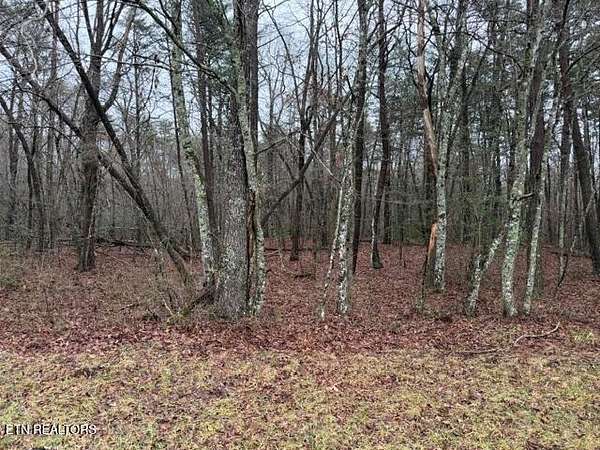 1.22 Acres of Residential Land for Sale in Monterey, Tennessee