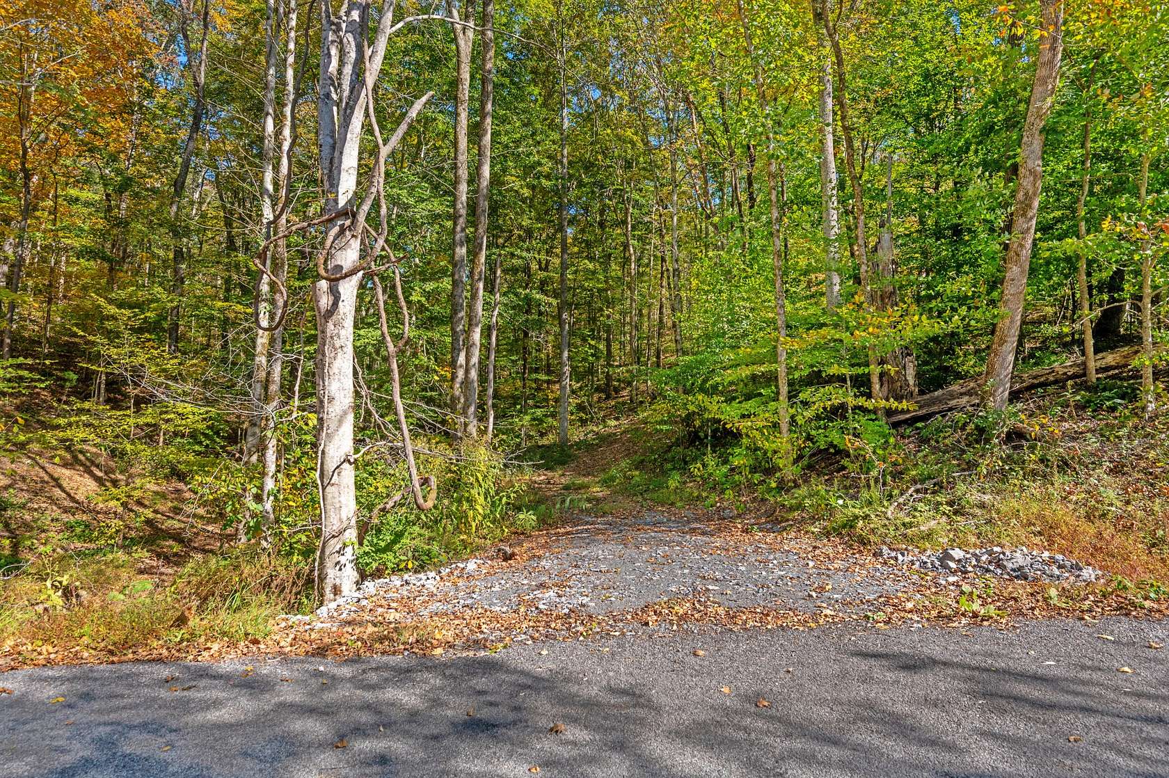 107 Acres of Recreational & Residential Land for Sale in Franklin, Tennessee