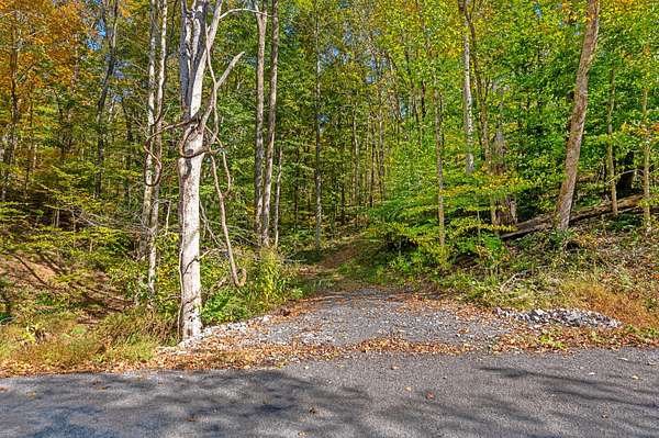 107 Acres of Recreational & Residential Land for Sale in Franklin, Tennessee