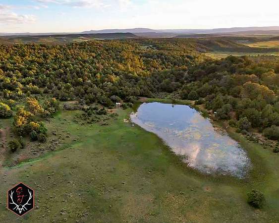 1,154 Acres of Recreational Land & Farm for Sale in Cebolla, New Mexico