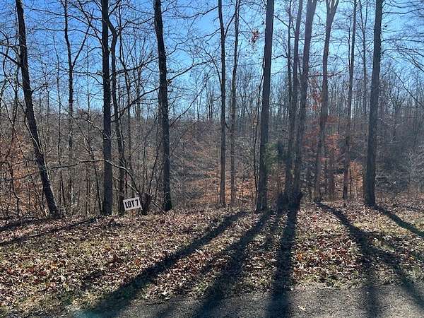 15.5 Acres of Land for Sale in Primm Springs, Tennessee