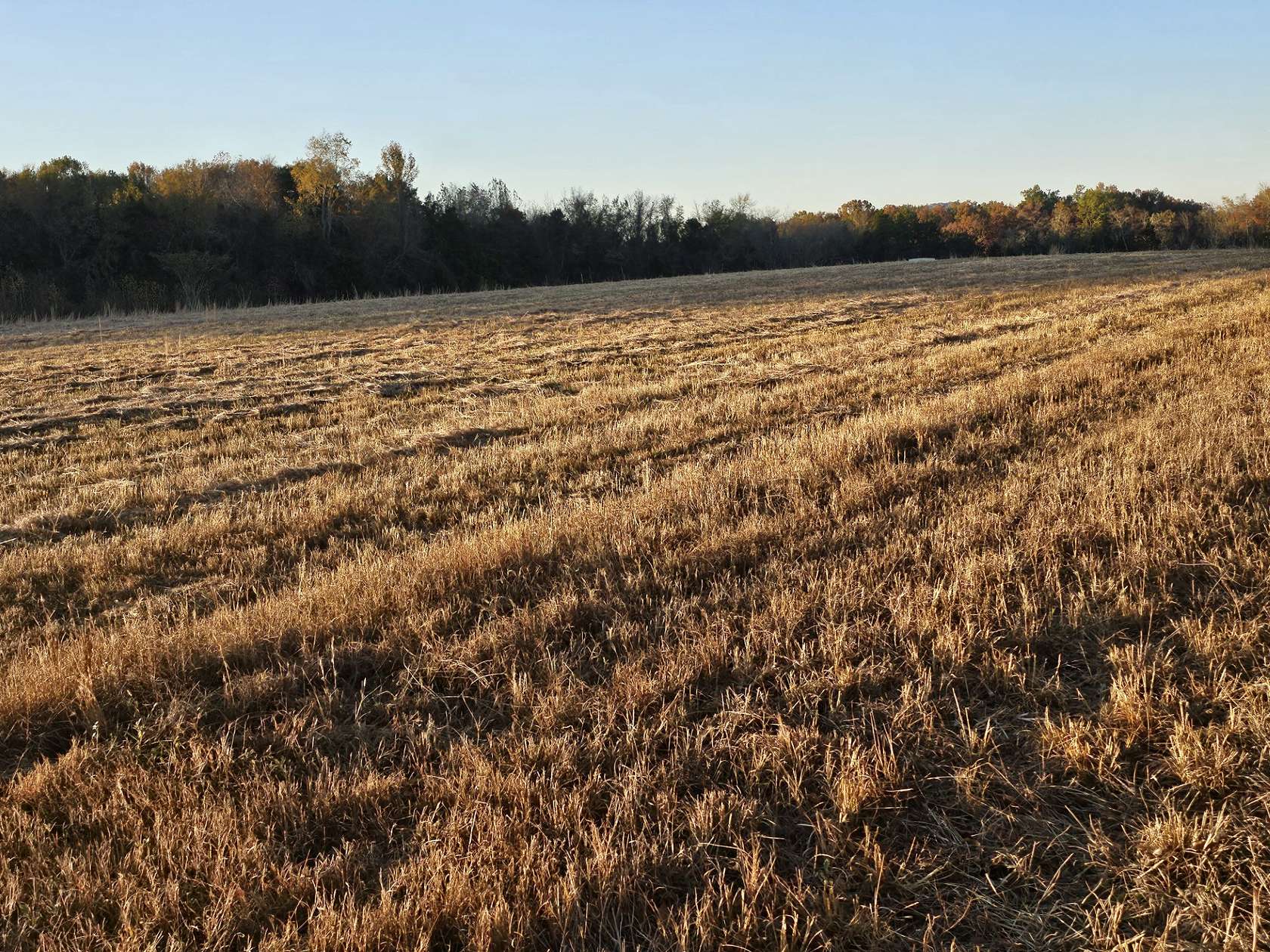 11.9 Acres of Land for Sale in Rockvale, Tennessee