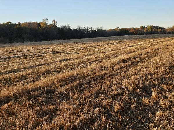 11.9 Acres of Land for Sale in Rockvale, Tennessee