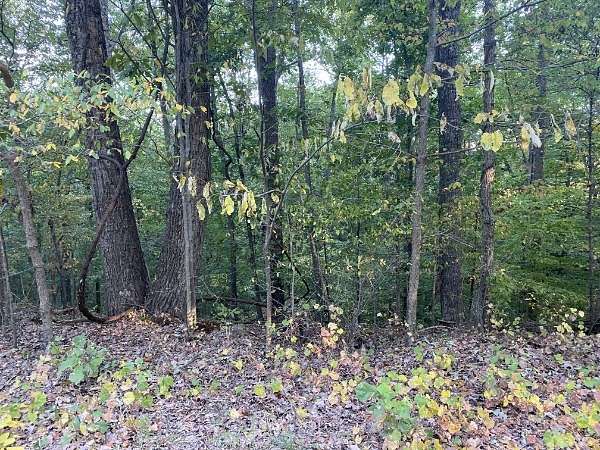 94.2 Acres of Recreational Land for Sale in New Johnsonville, Tennessee