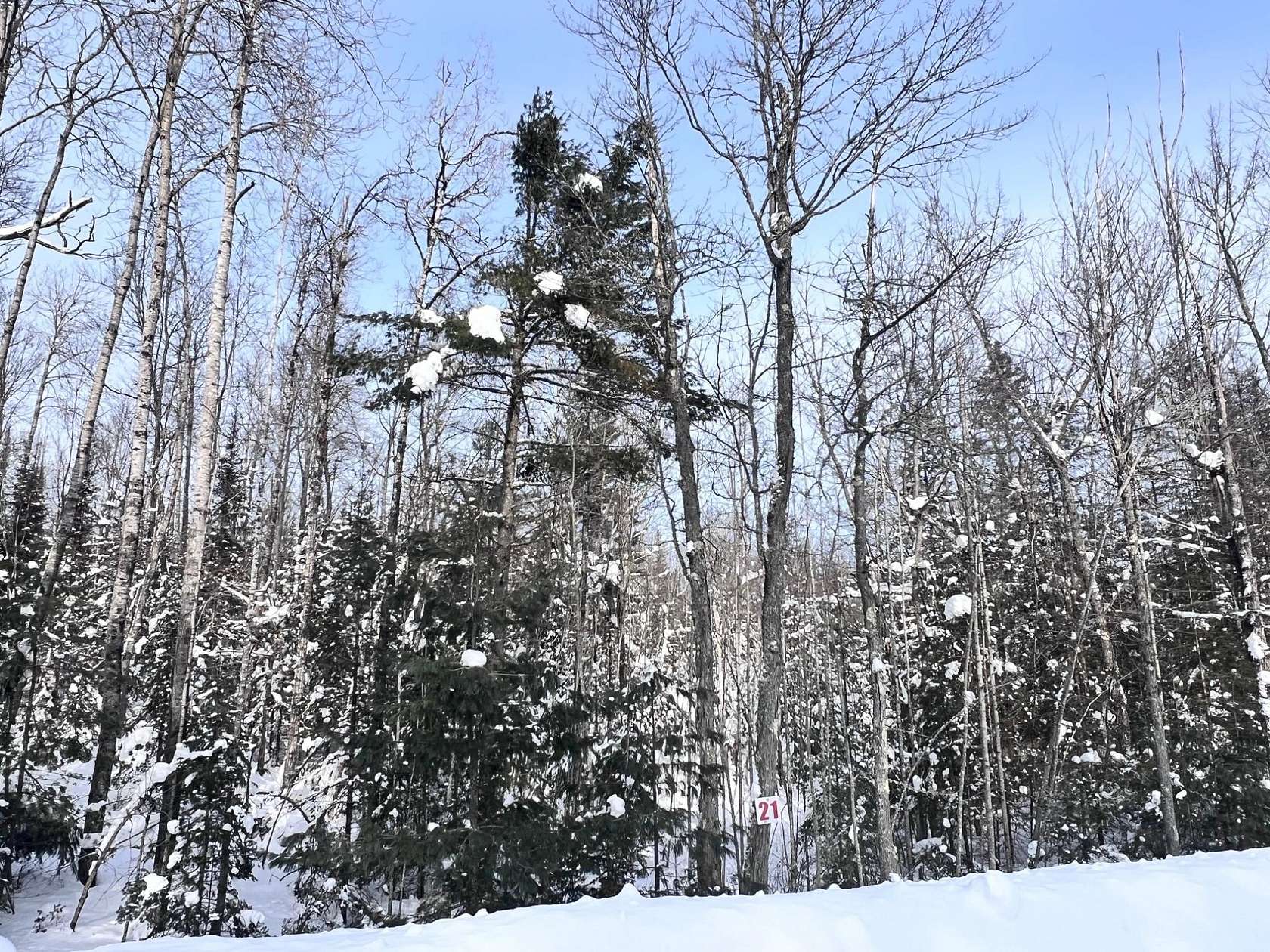 1.62 Acres of Residential Land for Sale in Eagle River, Wisconsin