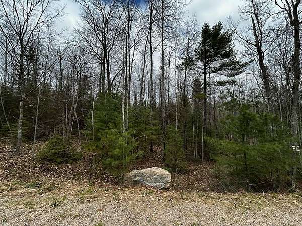 1.62 Acres of Residential Land for Sale in Eagle River, Wisconsin
