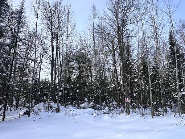 1.63 Acres of Residential Land for Sale in Eagle River, Wisconsin