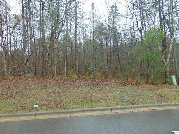 0.32 Acres of Land for Sale in Birmingham, Alabama