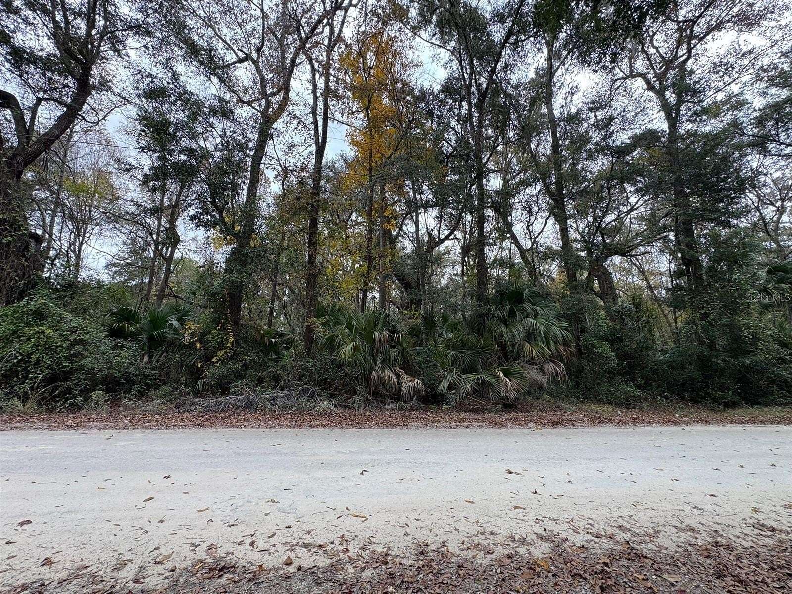 4.77 Acres of Residential Land for Sale in Anthony, Florida