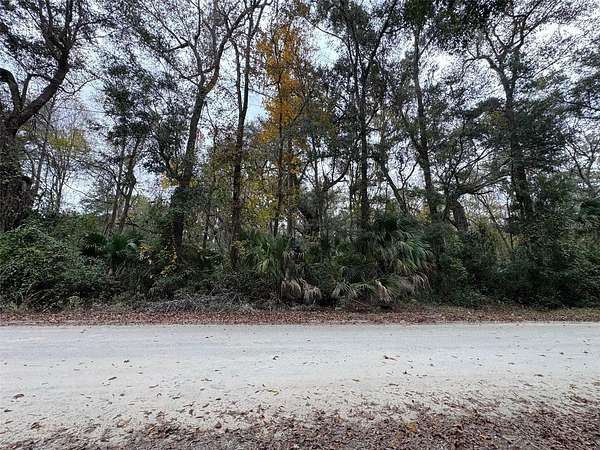 4.77 Acres of Residential Land for Sale in Anthony, Florida