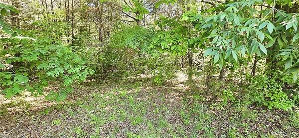 1.5 Acres of Land for Sale in Stoneville, North Carolina