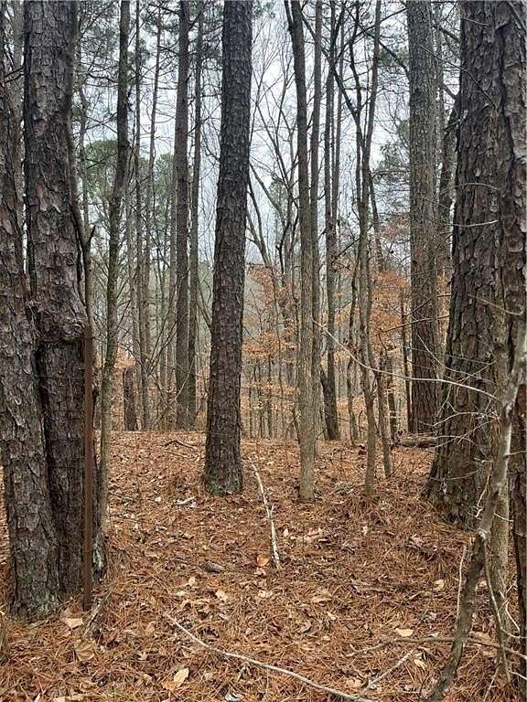 0.53 Acres of Residential Land for Sale in Fairburn, Georgia