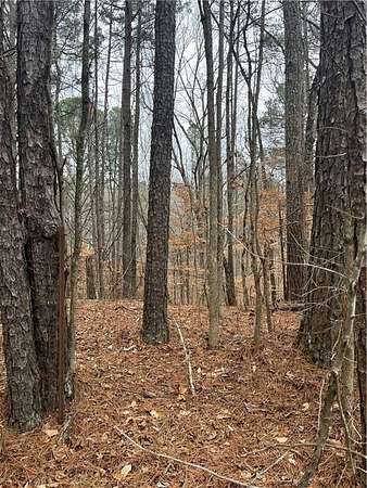 0.53 Acres of Residential Land for Sale in Fairburn, Georgia