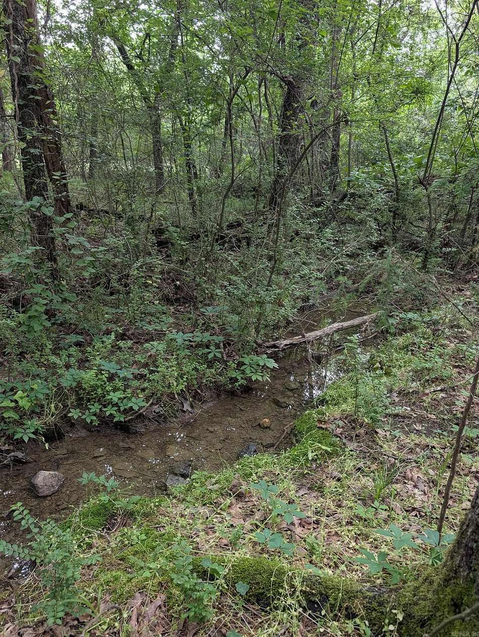 0.26 Acres of Residential Land for Sale in Hot Springs Village, Arkansas