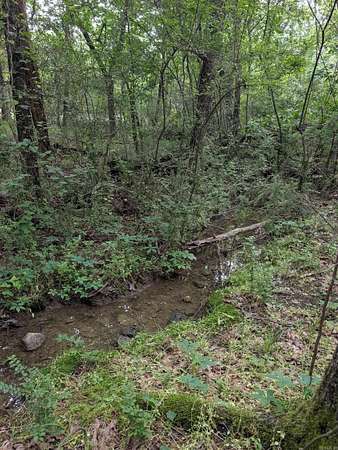 0.26 Acres of Residential Land for Sale in Hot Springs Village, Arkansas