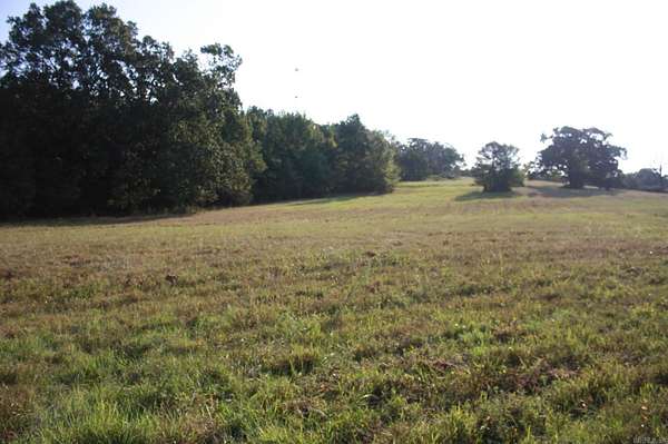 132 Acres of Agricultural Land for Sale in Nashville, Arkansas