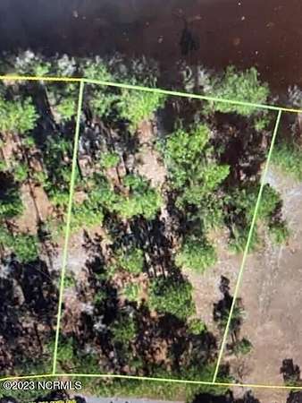 0.45 Acres of Residential Land for Sale in Harrells, North Carolina