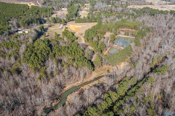 29.2 Acres of Agricultural Land for Sale in Piedmont, Alabama