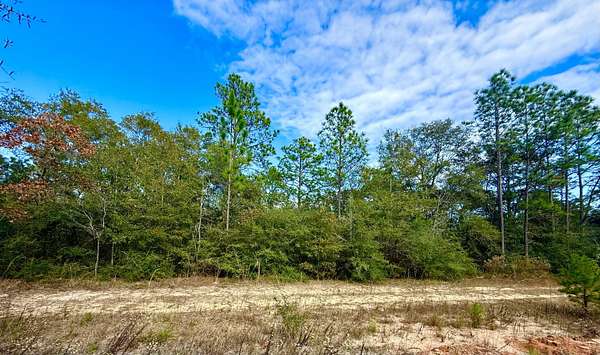 1 Acre of Residential Land for Sale in DeFuniak Springs, Florida