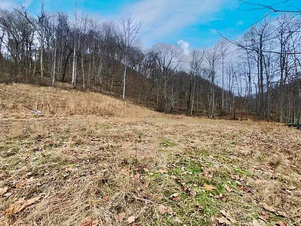 78.8 Acres of Recreational Land for Sale in Orma, West Virginia