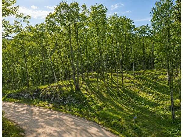2 Acres of Residential Land for Sale in Walker, Minnesota
