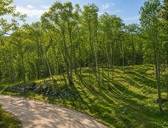2 Acres of Residential Land for Sale in Walker, Minnesota