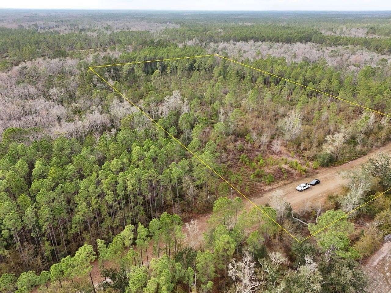 10.5 Acres of Land for Sale in Greenville, Florida