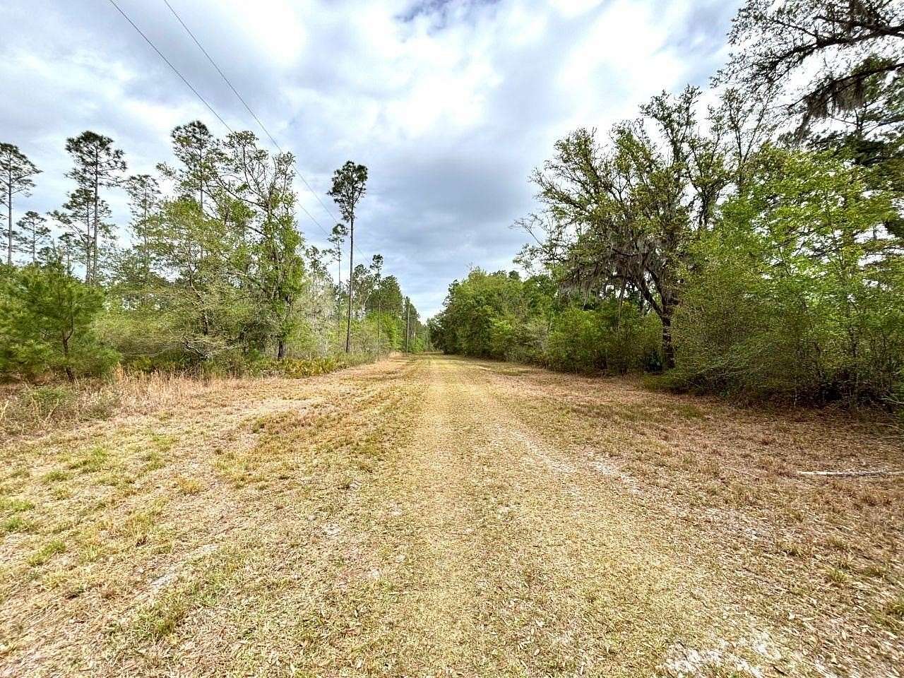 10.5 Acres of Recreational & Residential Land for Sale in Greenville, Florida