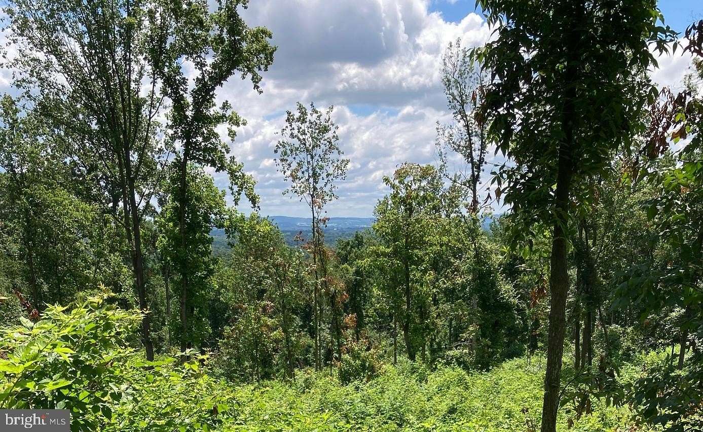 10 Acres of Residential Land for Sale in Lovettsville, Virginia