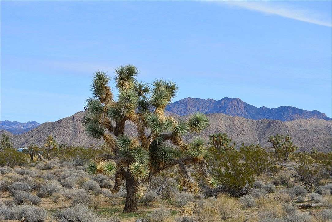 4.7 Acres of Residential Land for Sale in Yucca, Arizona