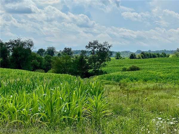 77 Acres of Recreational Land for Sale in Salineville, Ohio