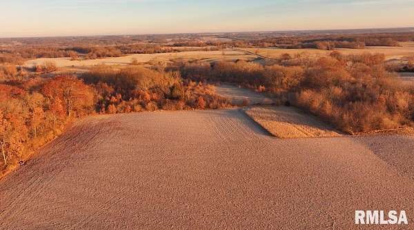 32 Acres of Recreational Land & Farm for Sale in Colchester, Illinois