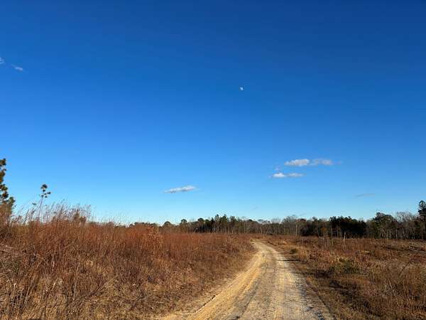 416 Acres of Recreational Land for Sale in Regina, Virginia