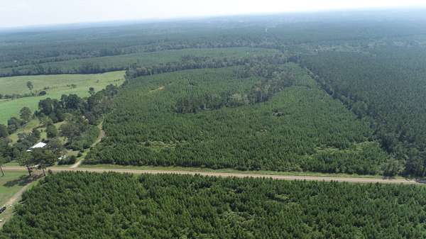 54 Acres of Recreational Land for Sale in Macune, Texas