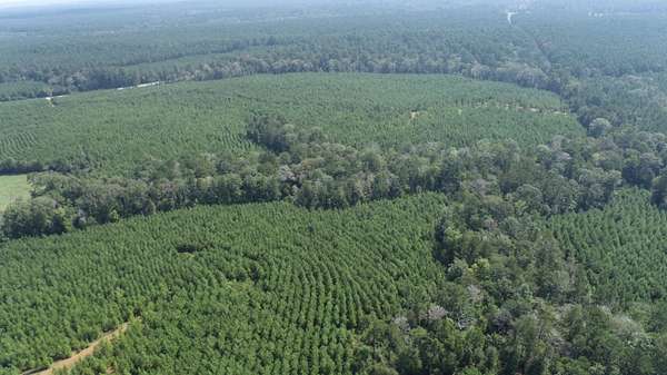 74 Acres of Recreational Land for Sale in Macune, Texas