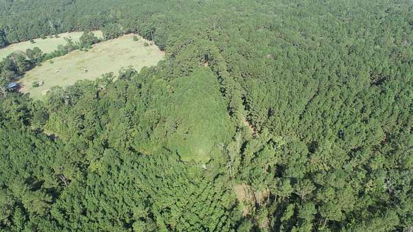 3.5 Acres of Residential Land for Sale in Bronson, Texas