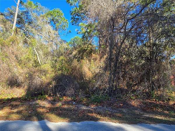 0.22 Acres of Residential Land for Sale in Inverness, Florida
