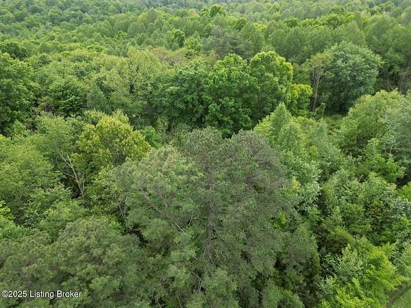 30.5 Acres of Land for Sale in Caneyville, Kentucky