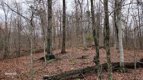 200 Acres of Recreational Land for Sale in Means, Kentucky