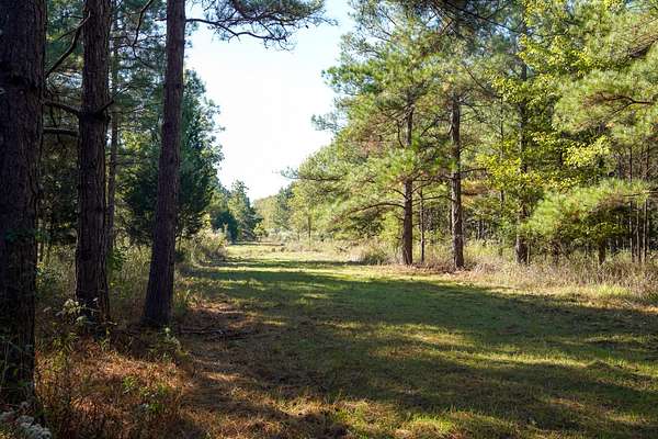 200 Acres of Recreational Land for Sale in Jonesville, Louisiana